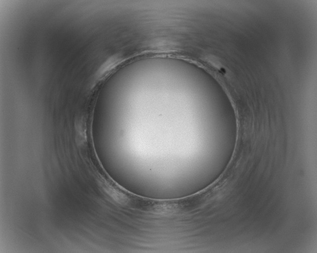 X0000068261451200604241219