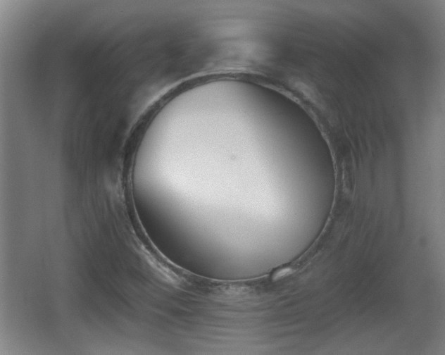 X0000068261452200604241219