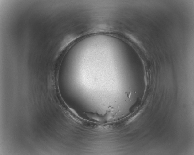 X0000068261453200604241219