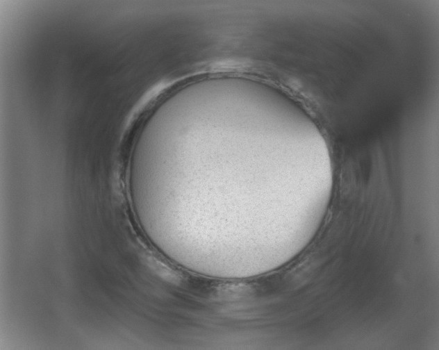 X0000068261454200604241219