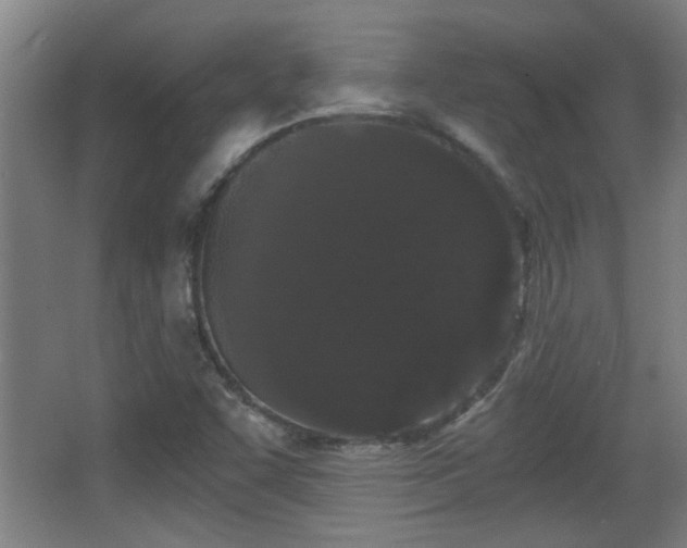 X0000068261455200604241219