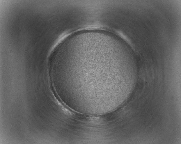 X0000068261456200604241219