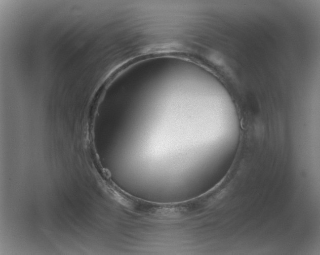 X0000068261457200604241219