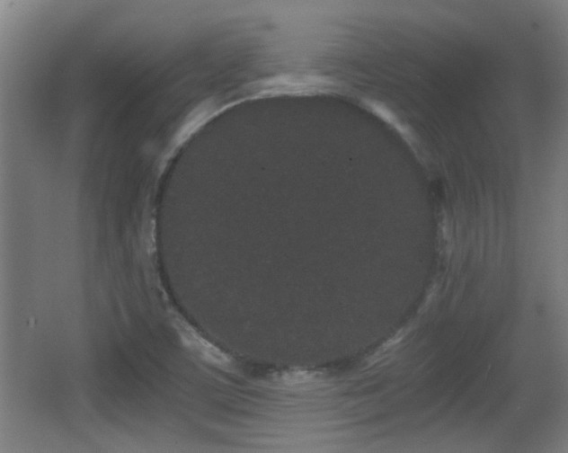 X0000068261459200604241219