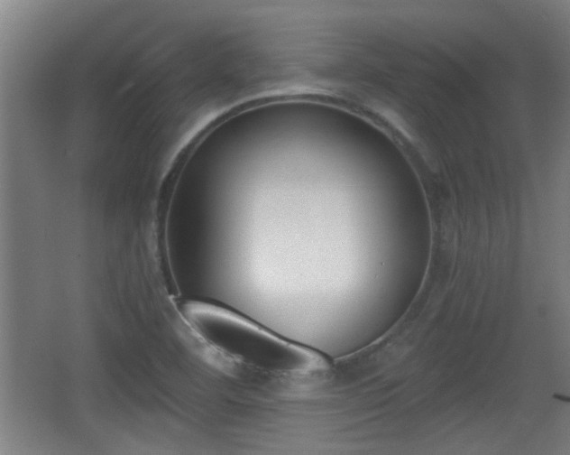 X0000068261460200604241219