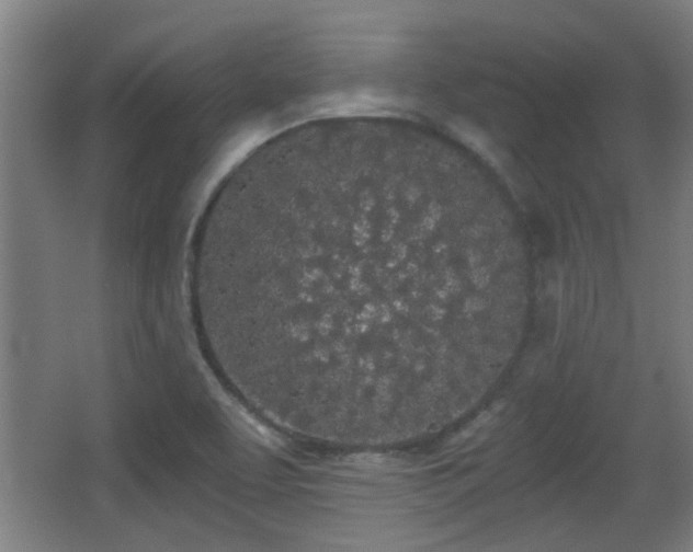 X0000068261463200604241219