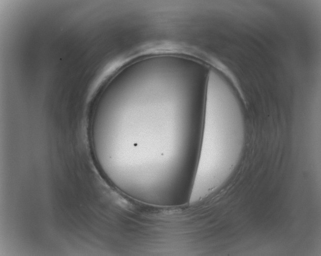 X0000068261464200604241219