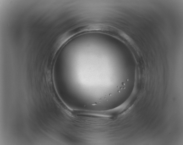 X0000068261465200604241219