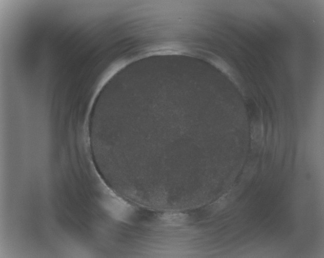 X0000068261466200604241219