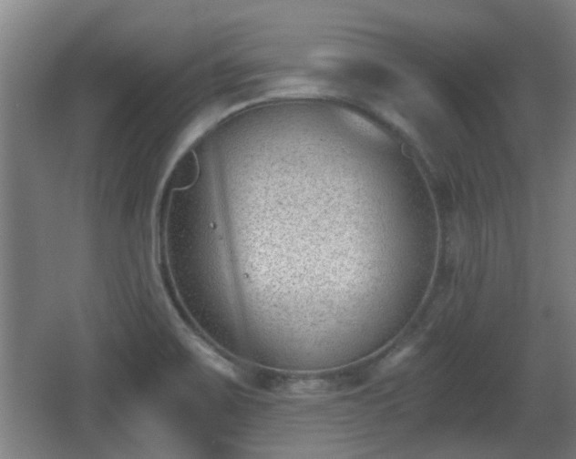 X0000068261467200604241219