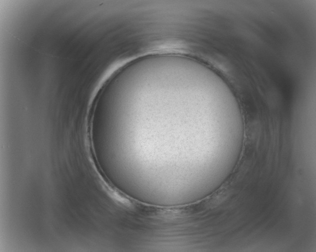 X0000068261470200604241219