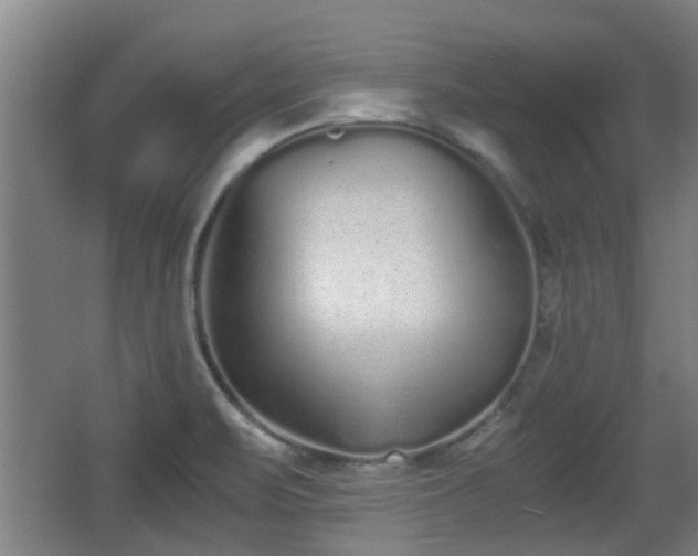 X0000068261471200604241219