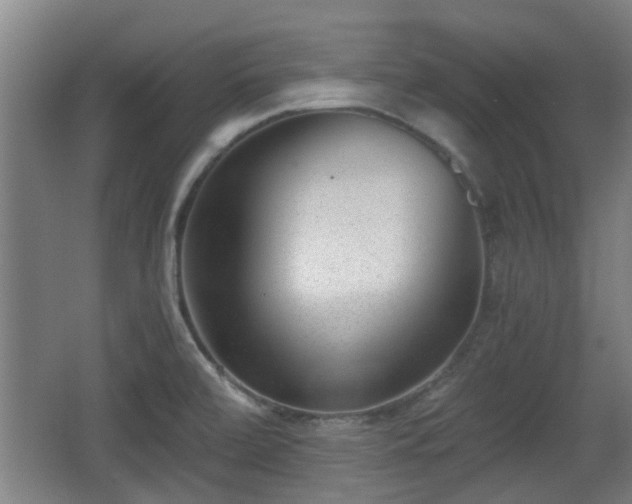 X0000068261472200604241219