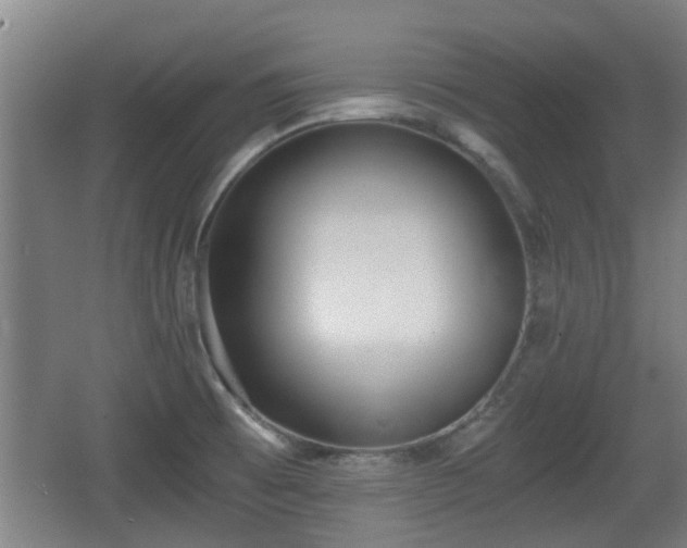 X0000068261473200604241219