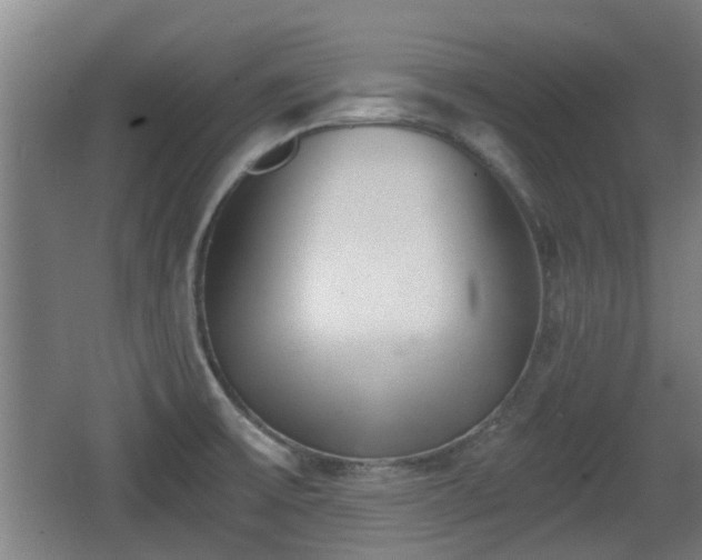 X0000068261475200604241219