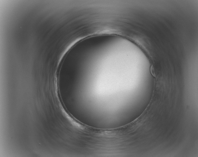 X0000068261476200604241219