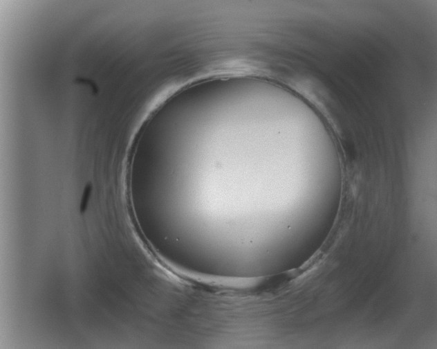 X0000068261477200604241219