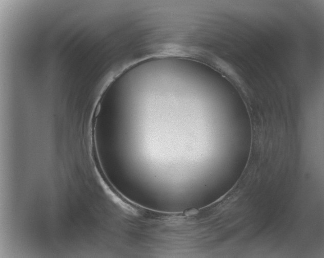 X0000068261479200604241219