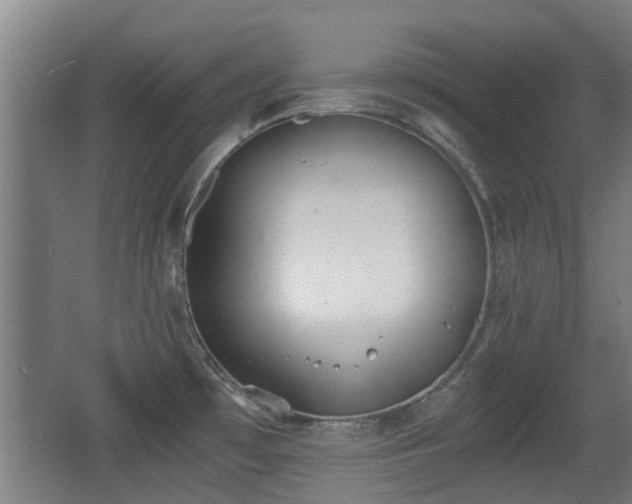 X0000068261481200604241219