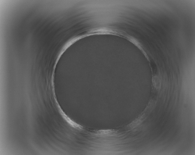 X0000068261482200604241219