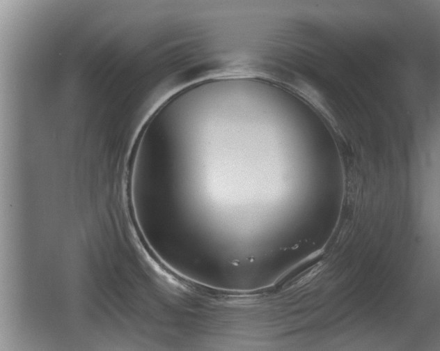 X0000068261484200604241219