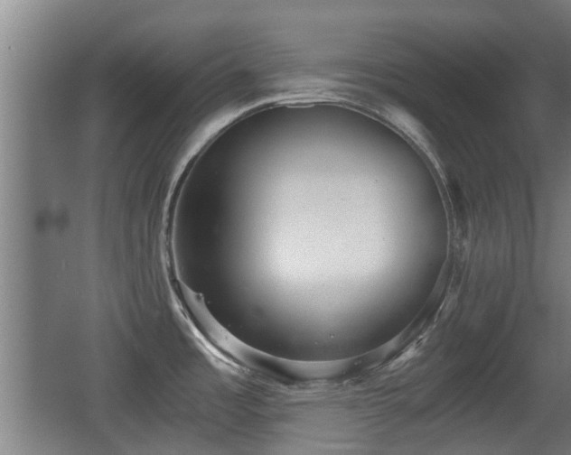 X0000068261485200604241219