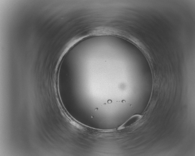 X0000068261486200604241219