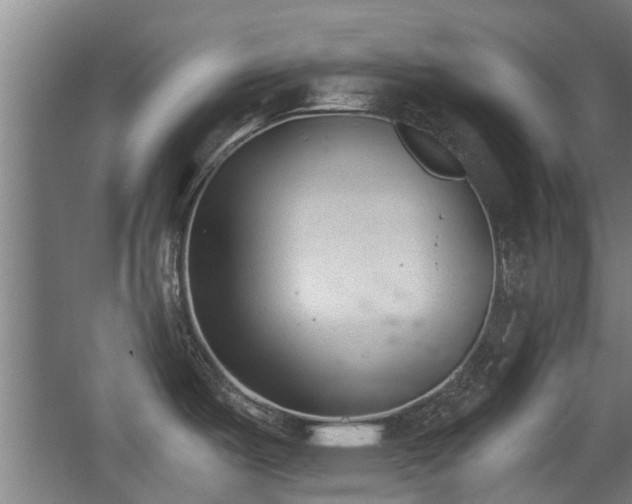 X0000068261487200604241219