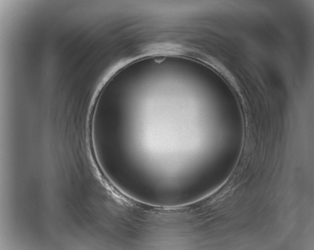 X0000068261488200604241219