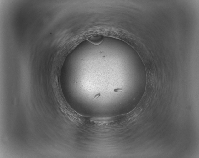 X0000068261489200604241218