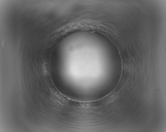 X0000068261490200604241218