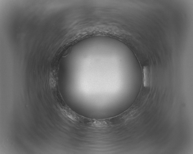 X0000068261491200604241218