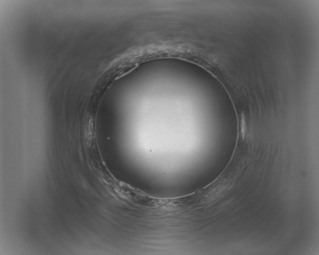 X0000068261492200604241218