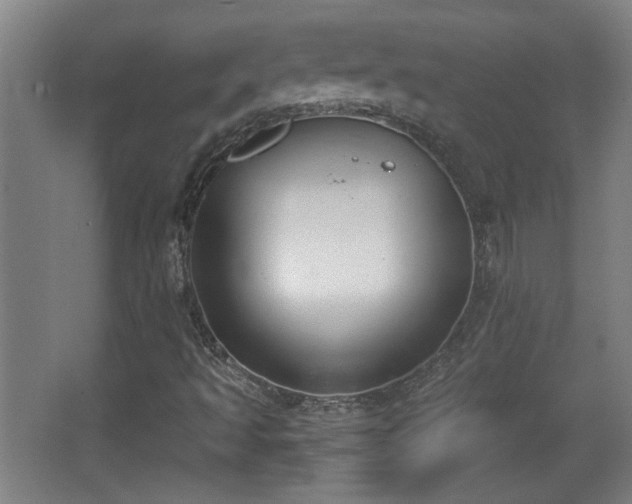 X0000068261493200604241218