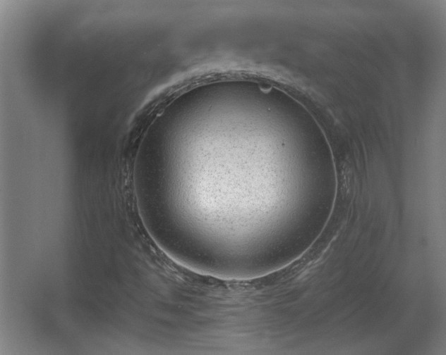 X0000068261494200604241218