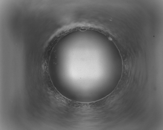 X0000068261495200604241218