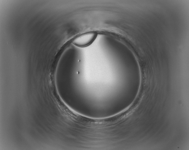 X0000068261497200604241218