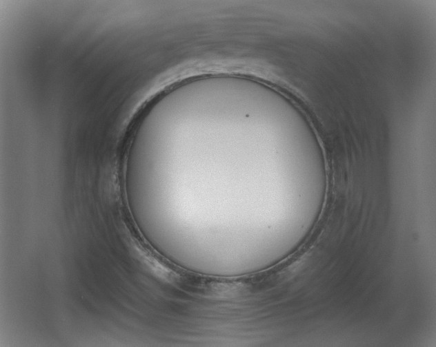 X0000068261498200604241218