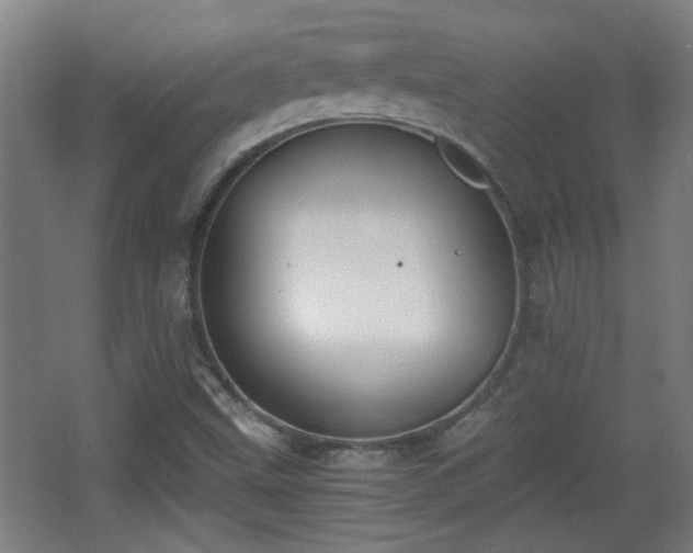 X0000068261499200604241218