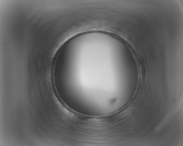 X0000068261500200604241218