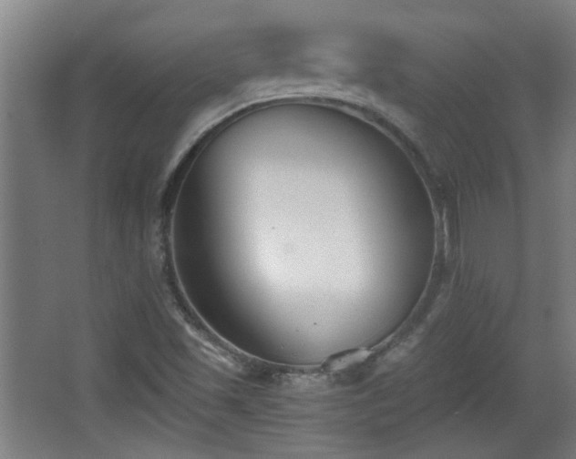 X0000068261501200604241218