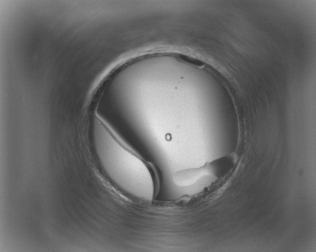 X0000068261502200604241218