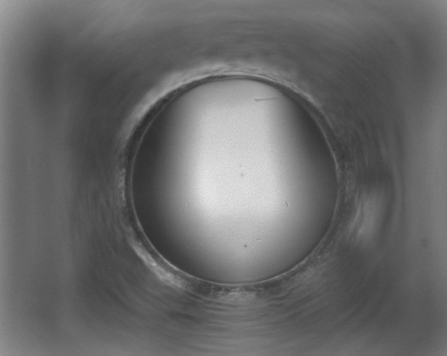 X0000068261503200604241218