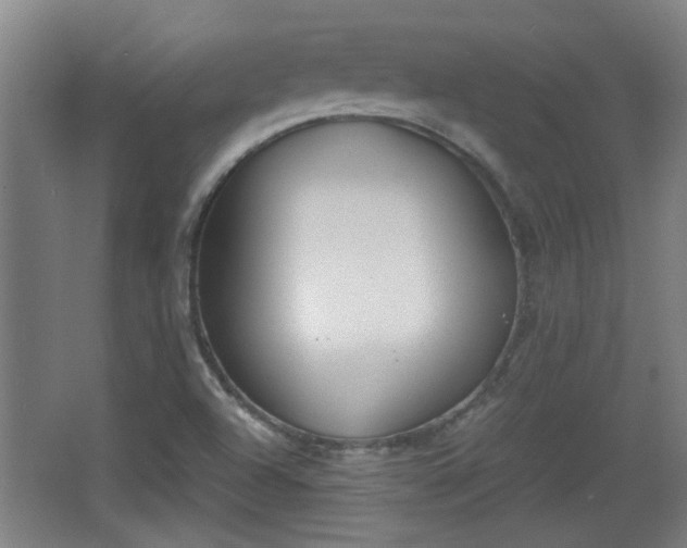 X0000068261504200604241218