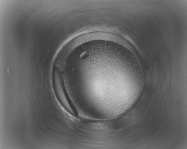 X0000068261508200604241218