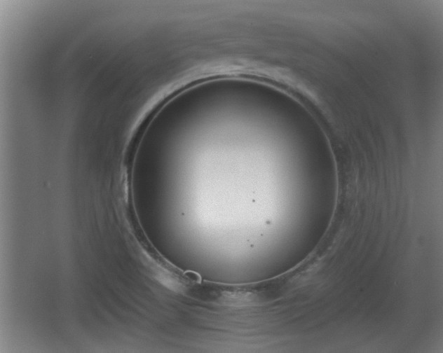 X0000068261509200604241218