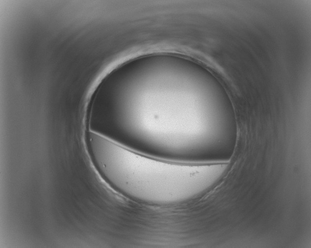 X0000068261512200604241218