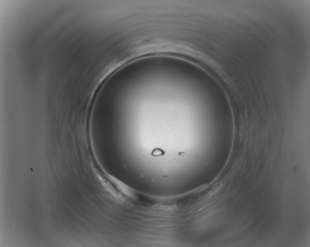 X0000068261513200604241218