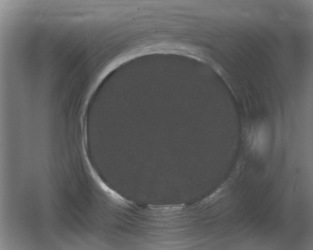 X0000068261515200604241218