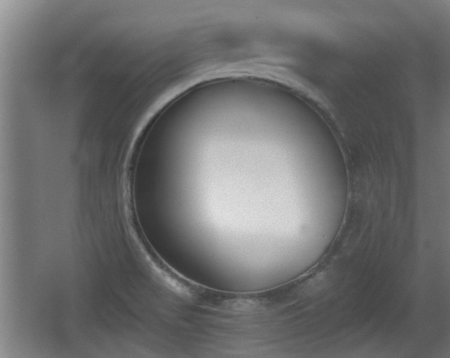 X0000068261517200604241218